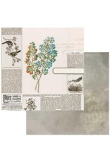 49 AND MARKET 49 AND MARKET BOTANICAL - GARDEN CLIPPINGS 12x12 CARDSTOCK