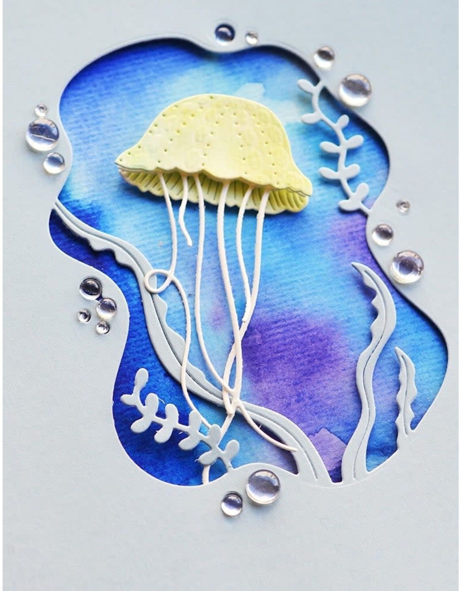 MEMORY BOX MEMORY BOX KELP COLLAGE DIE SET