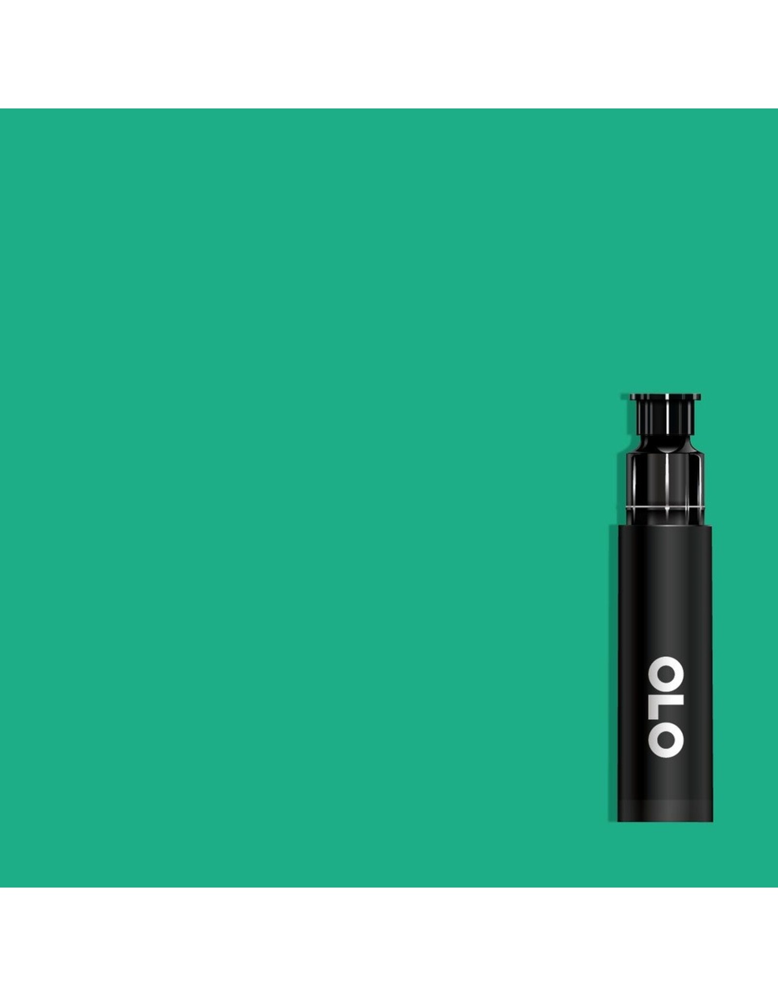 OLO OLO BRUSH REPLACEMENT CARTRIDGE - BG2.4 FLUORITE