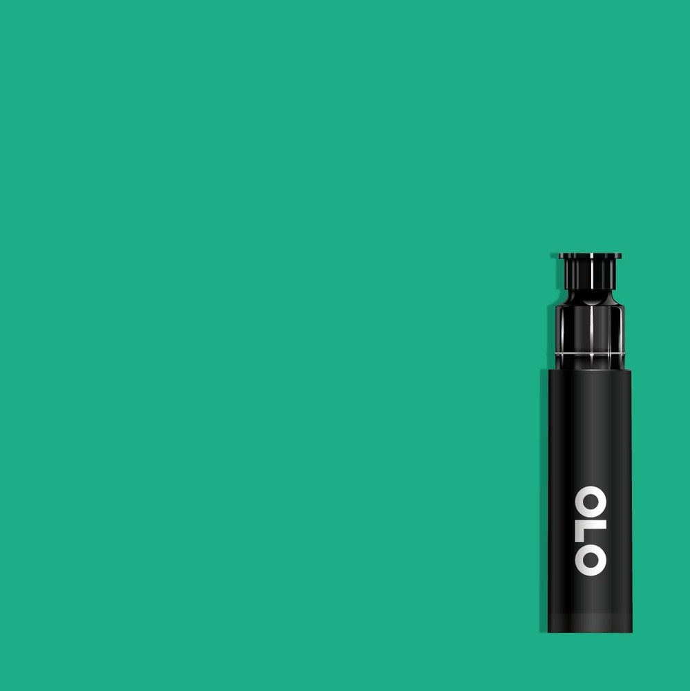 OLO OLO BRUSH REPLACEMENT CARTRIDGE - BG2.4 FLUORITE