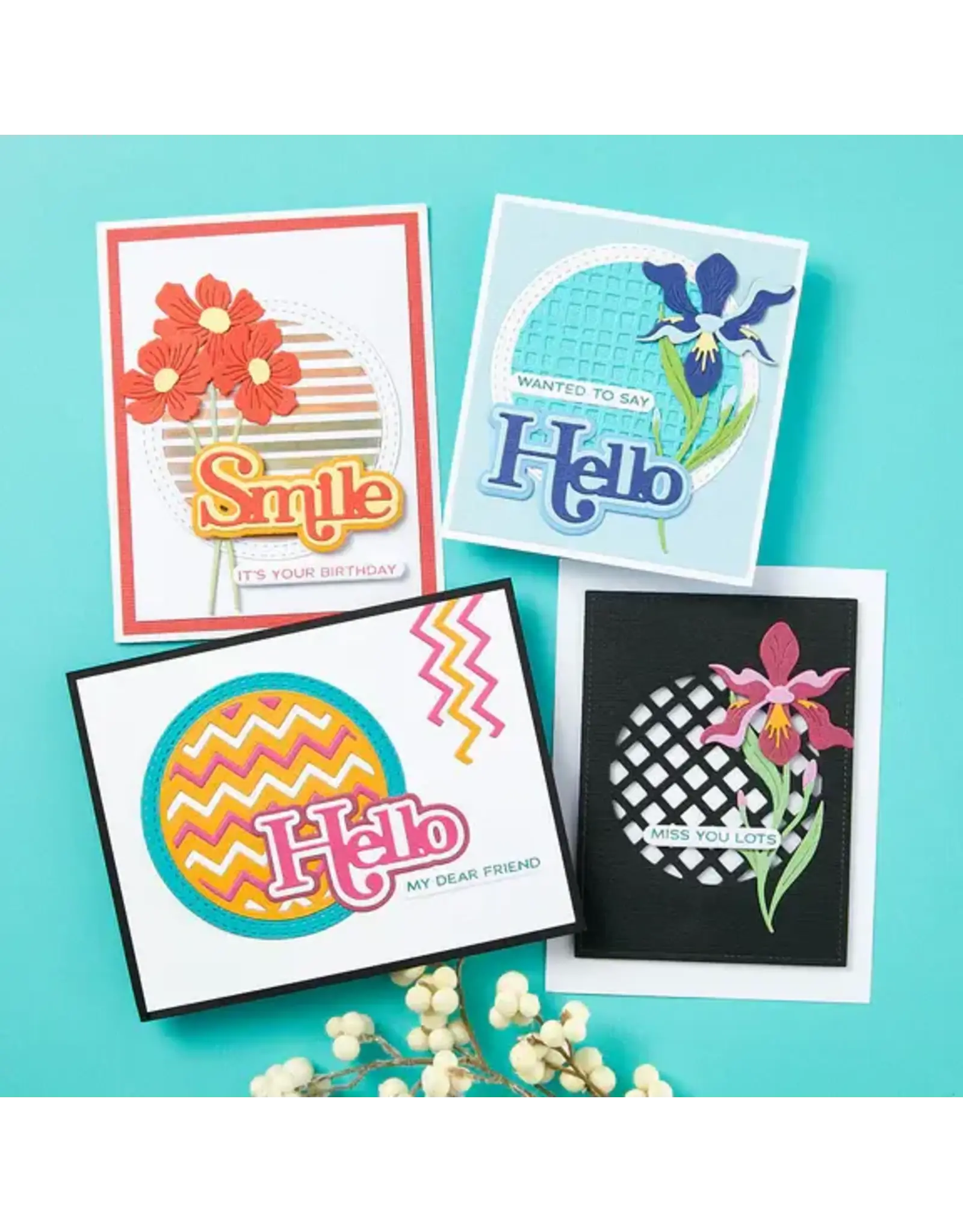 SPELLBINDERS SPELLBINDERS LISA HORTON A LITTLE HELLO SENTIMENTS SPOTLIGHT FRAMES AND FLORALS COLLECTION CLEAR STAMP & DIE SET