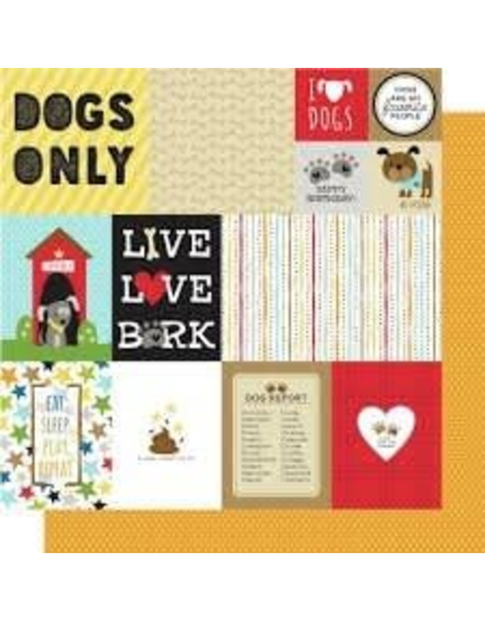 BELLA BLVD BELLA BLVD COOPER COLLECTION DAILY DETAILS PATTERENED PAPER 12"x12"
