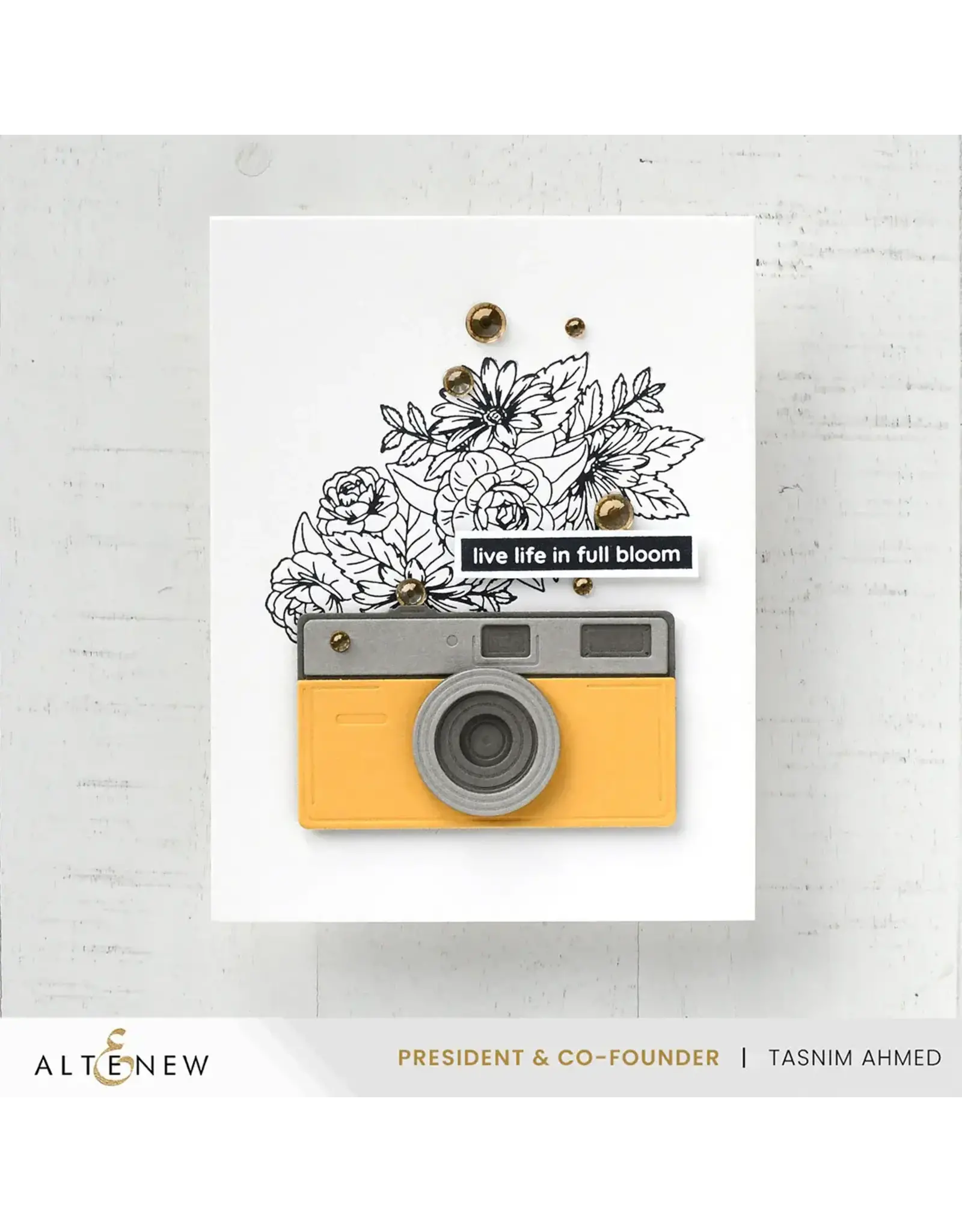 ALTENEW ALTENEW CAPTURE MEMORIES LAYERING DIE SET