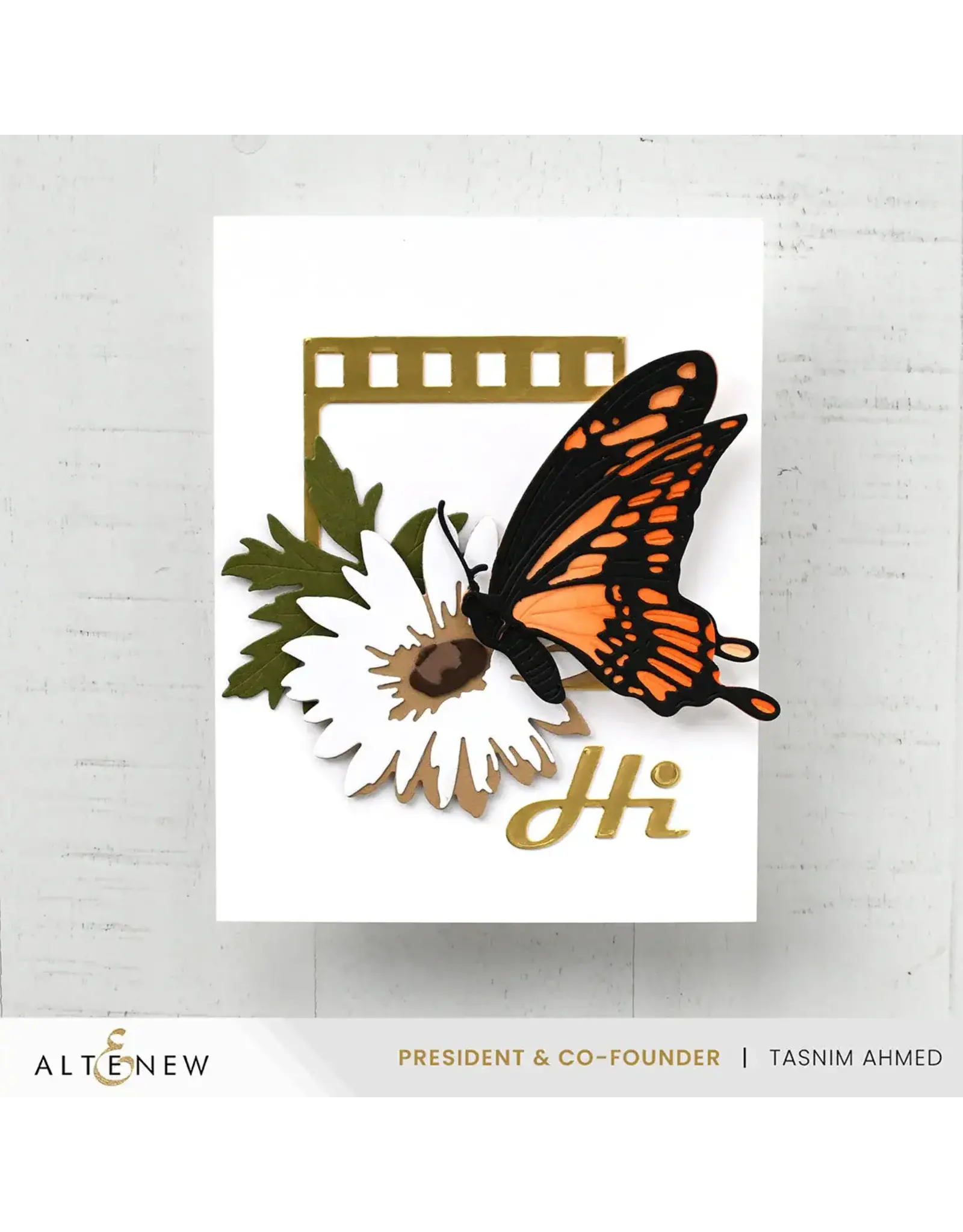 ALTENEW ALTENEW PICTURE PERFECT DIE SET