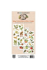 49 AND MARKET 49 AND MARKET VINTAGE ORCHARD BOTANICAL 6x12 RUB-ON TRANSFER SET 3/PK