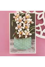 SPELLBINDERS SPELLBINDERS SUSAN TIERNEY-COCKBURN WINTER'S GRACE COLLECTION CYMBIDIUM ORCHID ETCHED DIE SET