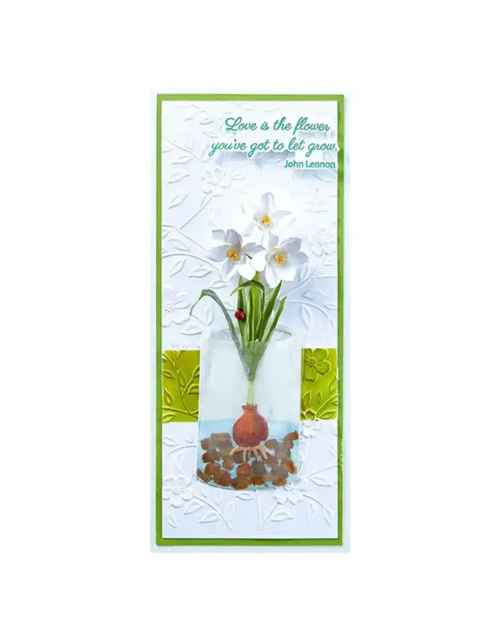 SPELLBINDERS SPELLBINDERS SUSAN TIERNEY-COCKBURN WINTER'S GRACE COLLECTION PAPERWHITES AND GLASS VASE ETCHED DIE SET