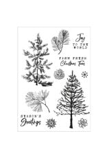 SIZZIX SIZZIX 49 AND MARKET PINE HOLIDAYS FRAMELITS DIE AND CLEAR STAMP SET