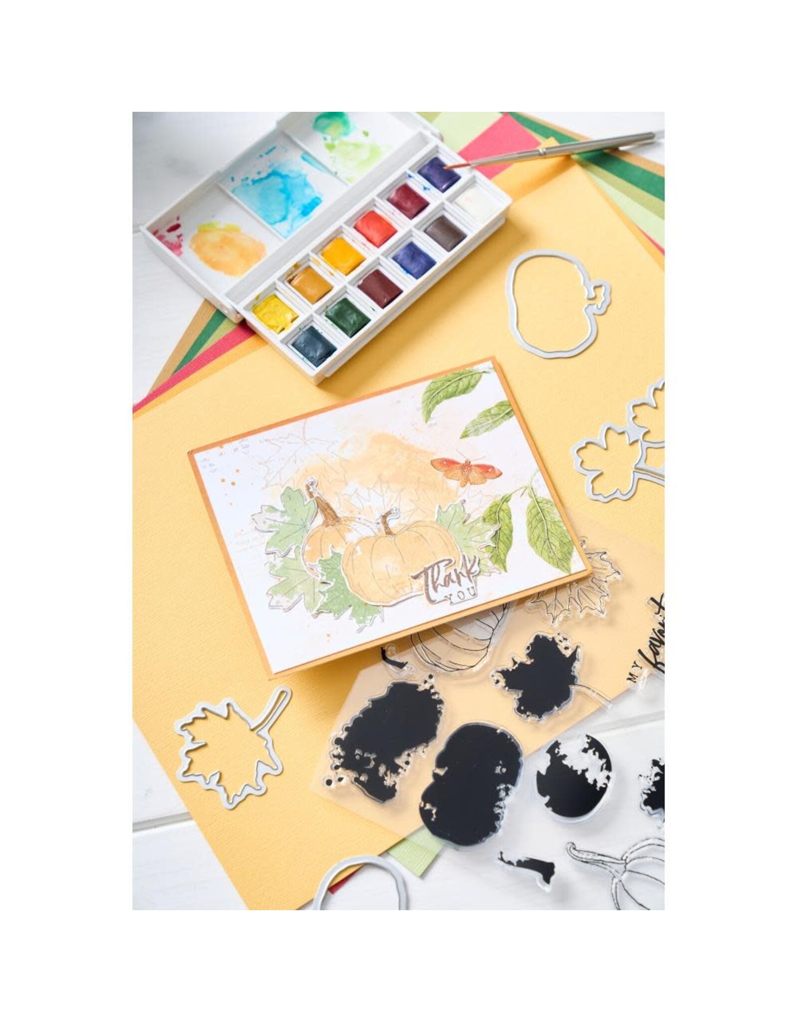 SIZZIX SIZZIX 49 AND MARKET PENCIL LINE HARVEST FRAMELITS DIE AND CLEAR STAMP SET