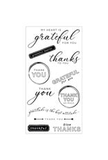 SIZZIX SIZZIX 49 AND MARKET THANKFUL SENTIMENTS FRAMELITS DIE AND CLEAR STAMP SET