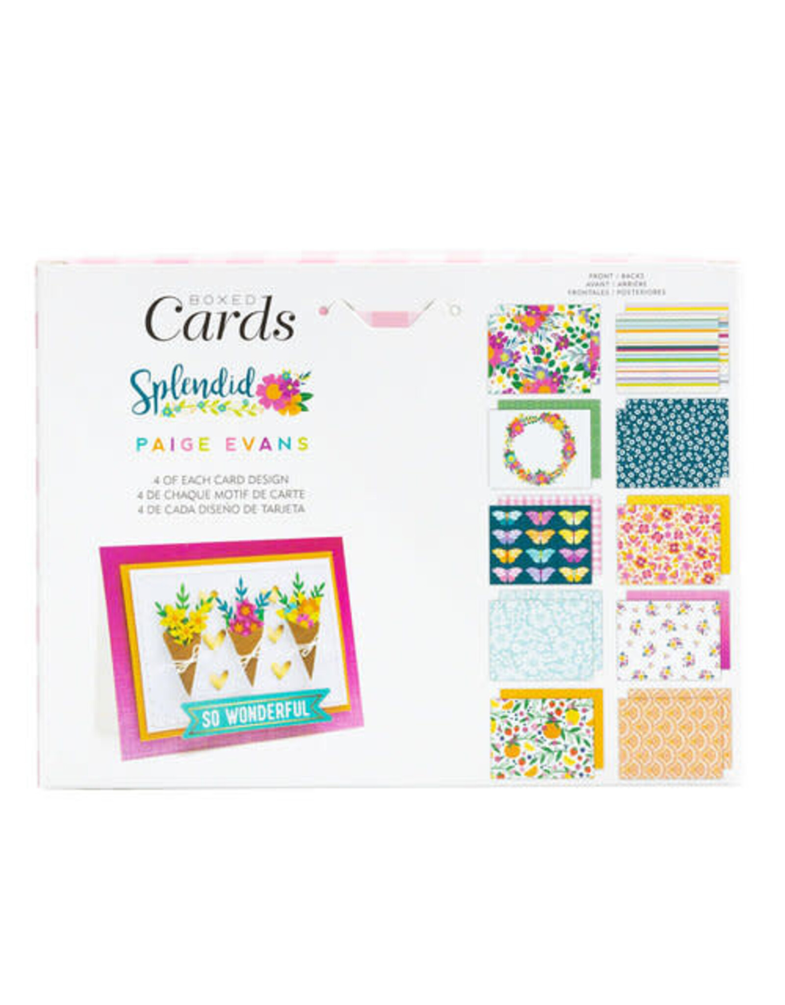 AMERICAN CRAFTS AMERICAN CRAFTS PAIGE EVANS SPENDID COLLECTION BOXED CARDS