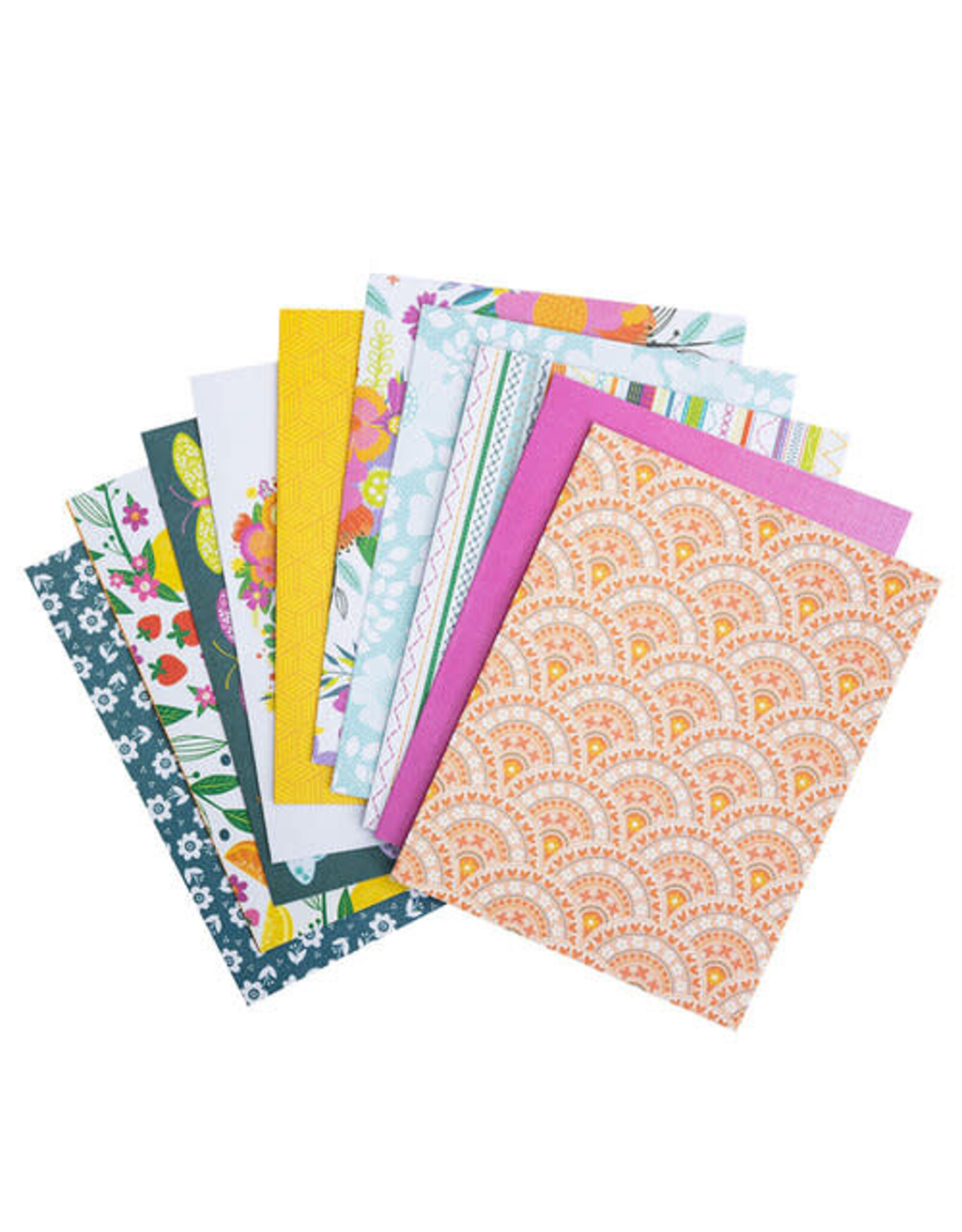 AMERICAN CRAFTS AMERICAN CRAFTS PAIGE EVANS SPENDID COLLECTION BOXED CARDS