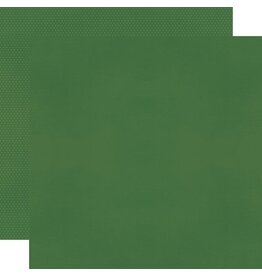 SIMPLE STORIES SIMPLE STORIES COLOR VIBE PINE CARDSTOCK 12''X12''