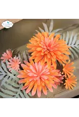 ELIZABETH CRAFT DESIGNS ELIZABETH CRAFT DESIGNS PAPER FLOWERS BY ANGELICA TURNER FLORALS 32 DIE SET