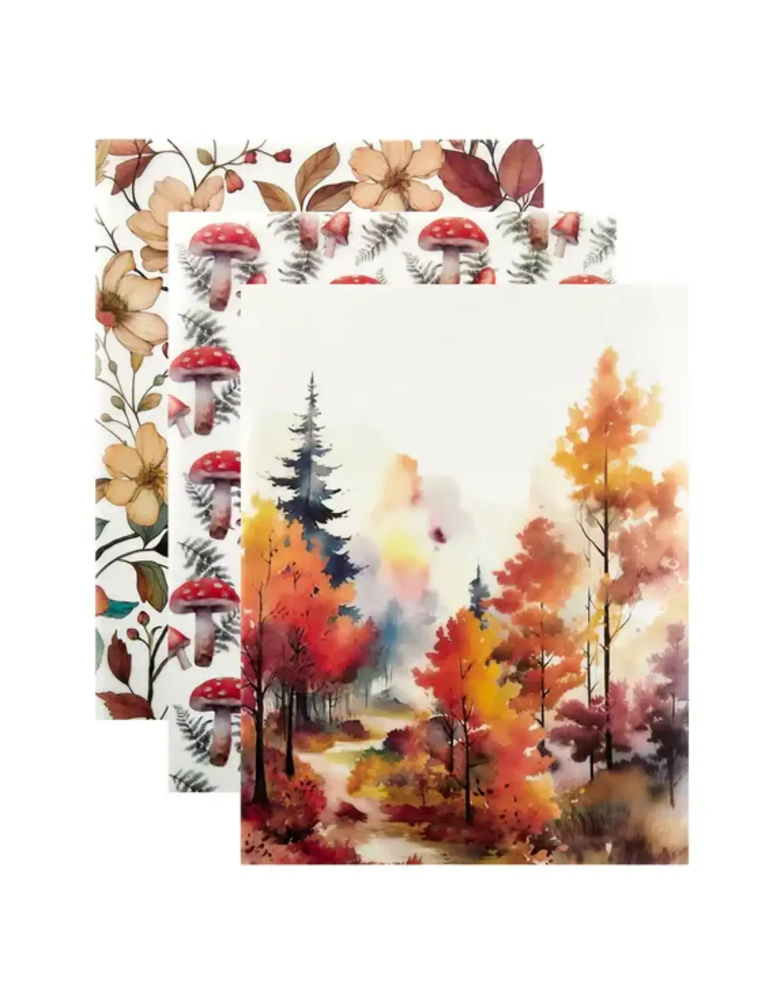 SPELLBINDERS SPELLBINDERS WOODLAND TALES COLLECTION FOILED ACETATE & VELLUM SHEETS 8.5x11 6/PK