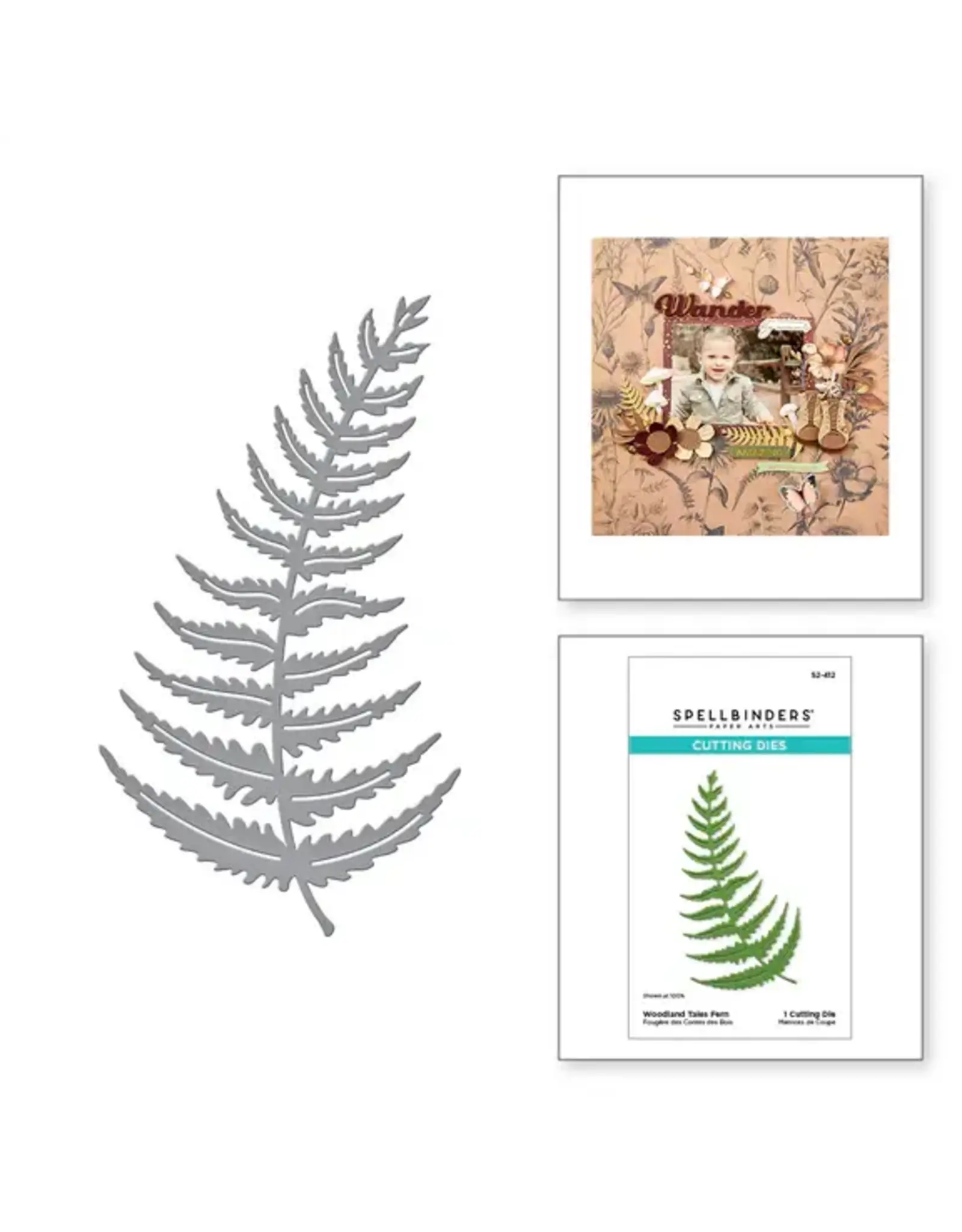 SPELLBINDERS SPELLBINDERS WOODLAND TALES COLLECTION FERN ETCHED DIE