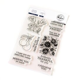 PINKFRESH PINKFRESH STUDIO FRAMED ART CLEAR STAMP SET