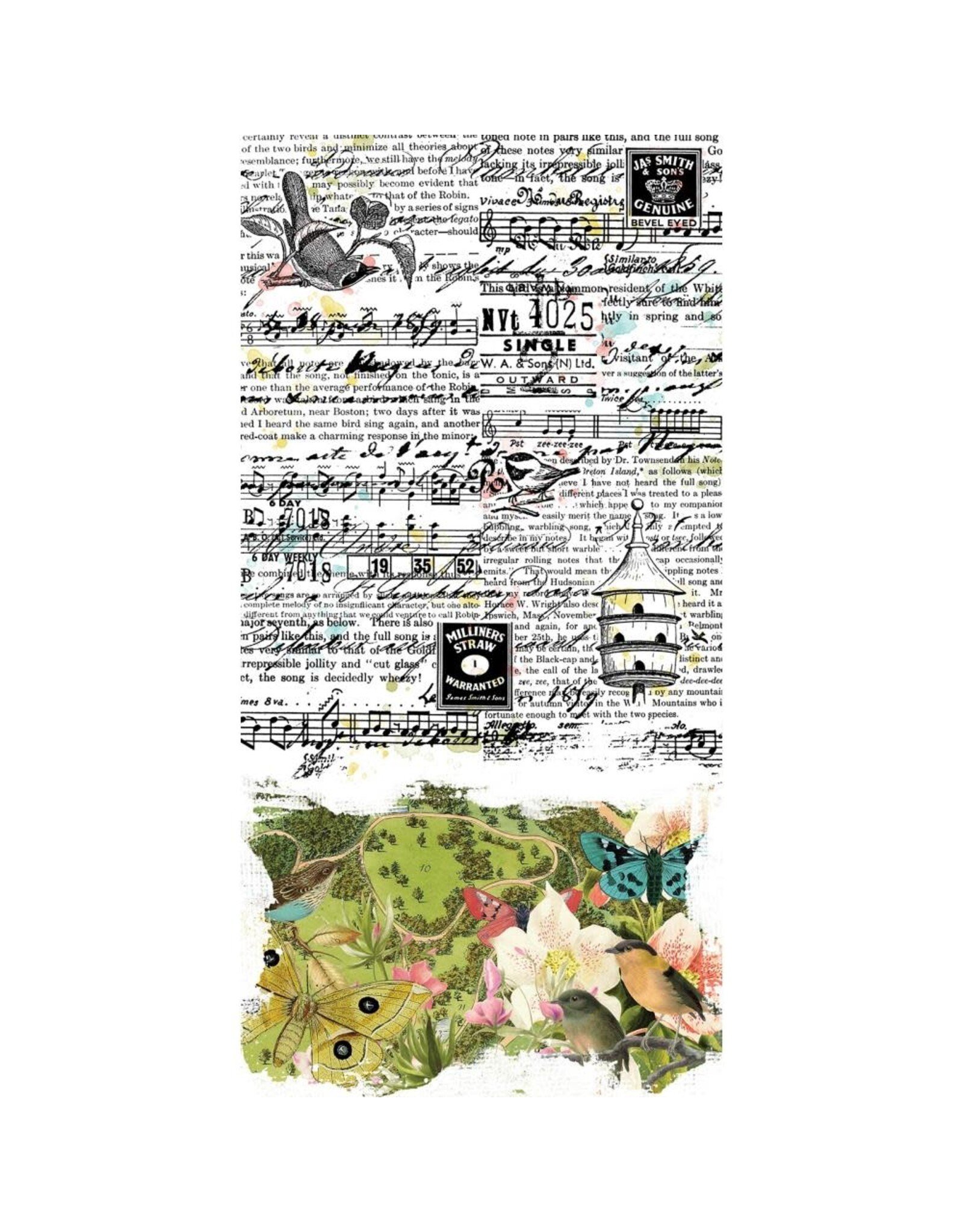 49 AND MARKET 49 AND MARKET BIRDSONG 6x12 WASHI TAPE SHEETS