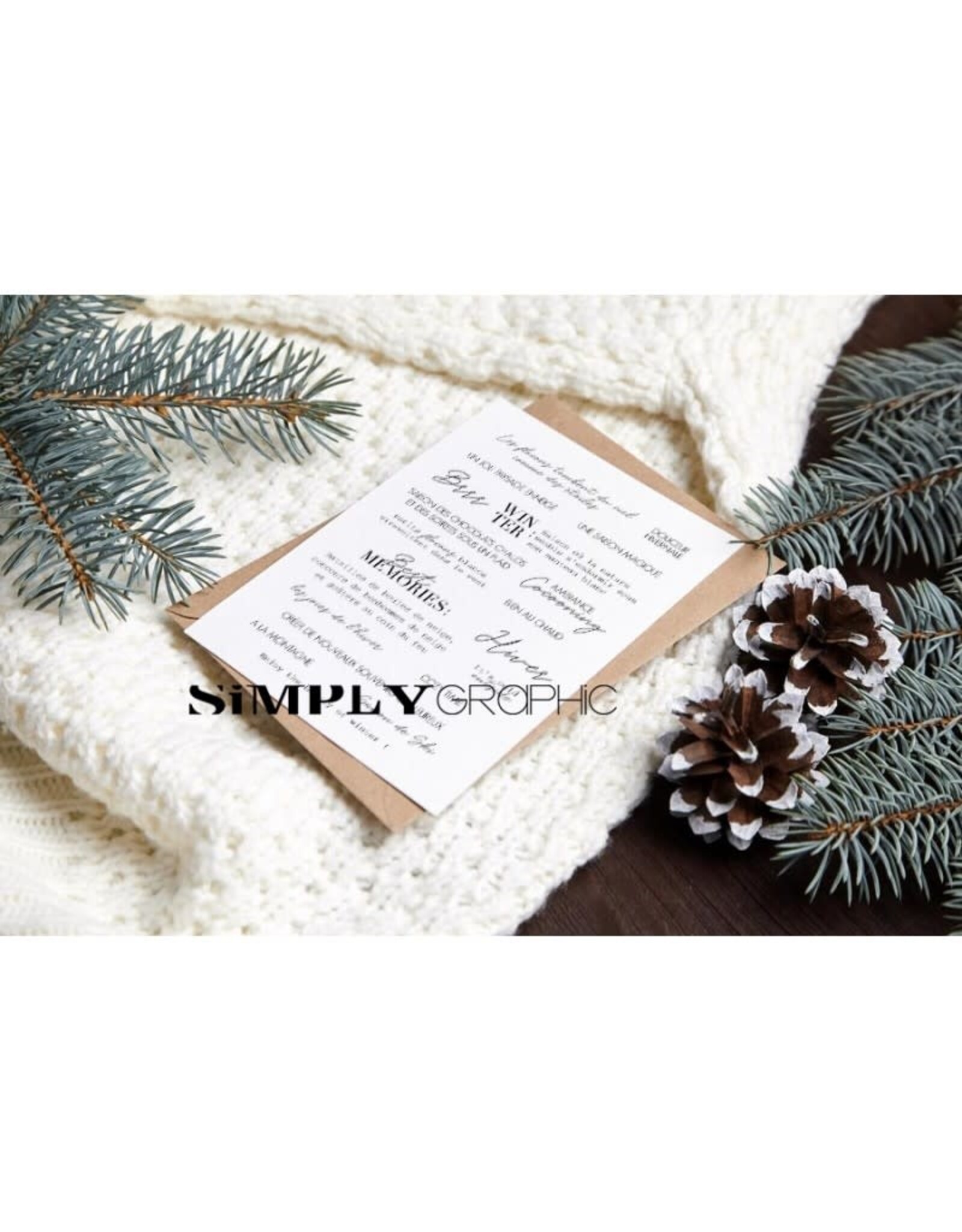 SIMPLY GRAPHIC SIMPLY GRAPHIC PLANCHE L'HIVER EST LÀ CLEAR STAMP SET
