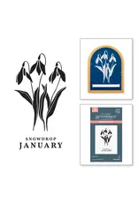 SPELLBINDERS SPELLBINDERS BETTERPRESS FLORALS THROUGH THE YEAR COLLECTION JANUARY SNOWDROP PRESS PLATES