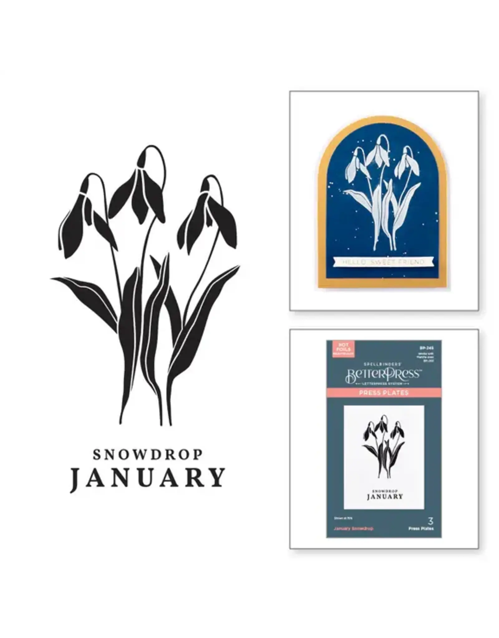 SPELLBINDERS SPELLBINDERS BETTERPRESS FLORALS THROUGH THE YEAR COLLECTION JANUARY SNOWDROP PRESS PLATES