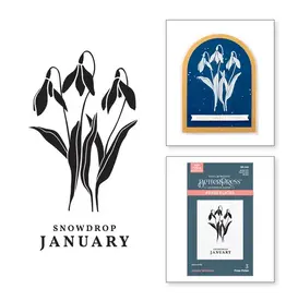 SPELLBINDERS SPELLBINDERS BETTERPRESS FLORALS THROUGH THE YEAR COLLECTION JANUARY SNOWDROP PRESS PLATES