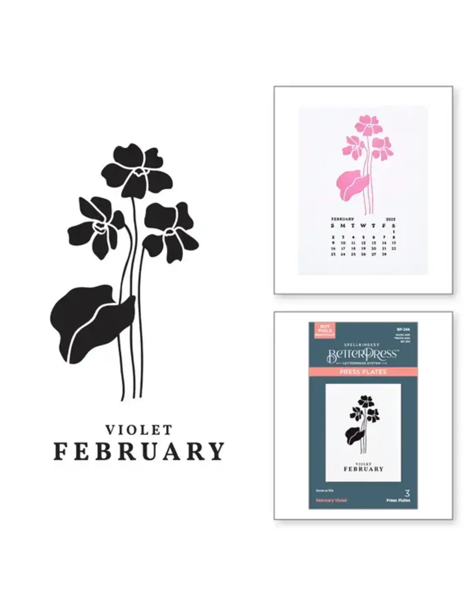 SPELLBINDERS SPELLBINDERS BETTERPRESS FLORALS THROUGH THE YEAR COLLECTION FEBRUARY VIOLET PRESS PLATES