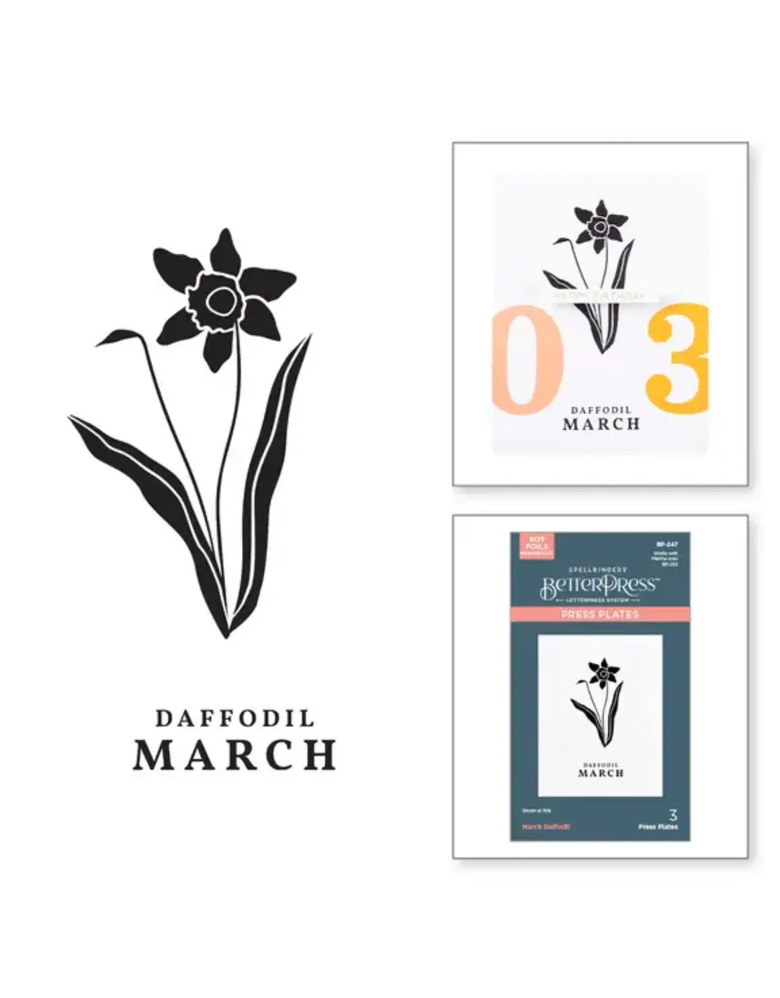 SPELLBINDERS SPELLBINDERS BETTERPRESS FLORALS THROUGH THE YEAR COLLECTION MARCH DAFFODIL PRESS PLATES