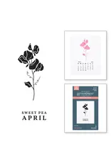 SPELLBINDERS SPELLBINDERS BETTERPRESS FLORALS THROUGH THE YEAR COLLECTION APRIL SWEET PEA PRESS PLATES