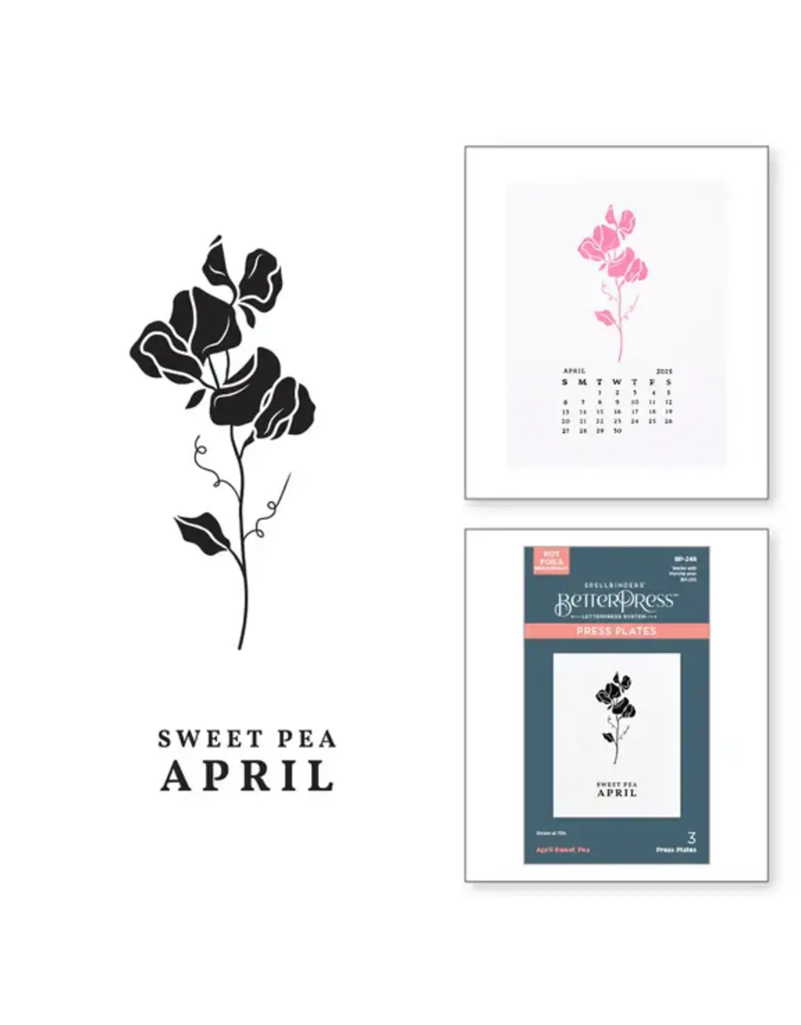 SPELLBINDERS SPELLBINDERS BETTERPRESS FLORALS THROUGH THE YEAR COLLECTION APRIL SWEET PEA PRESS PLATES