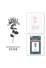 SPELLBINDERS SPELLBINDERS BETTERPRESS FLORALS THROUGH THE YEAR COLLECTION JUNE HONEYSUCKLE PRESS PLATES