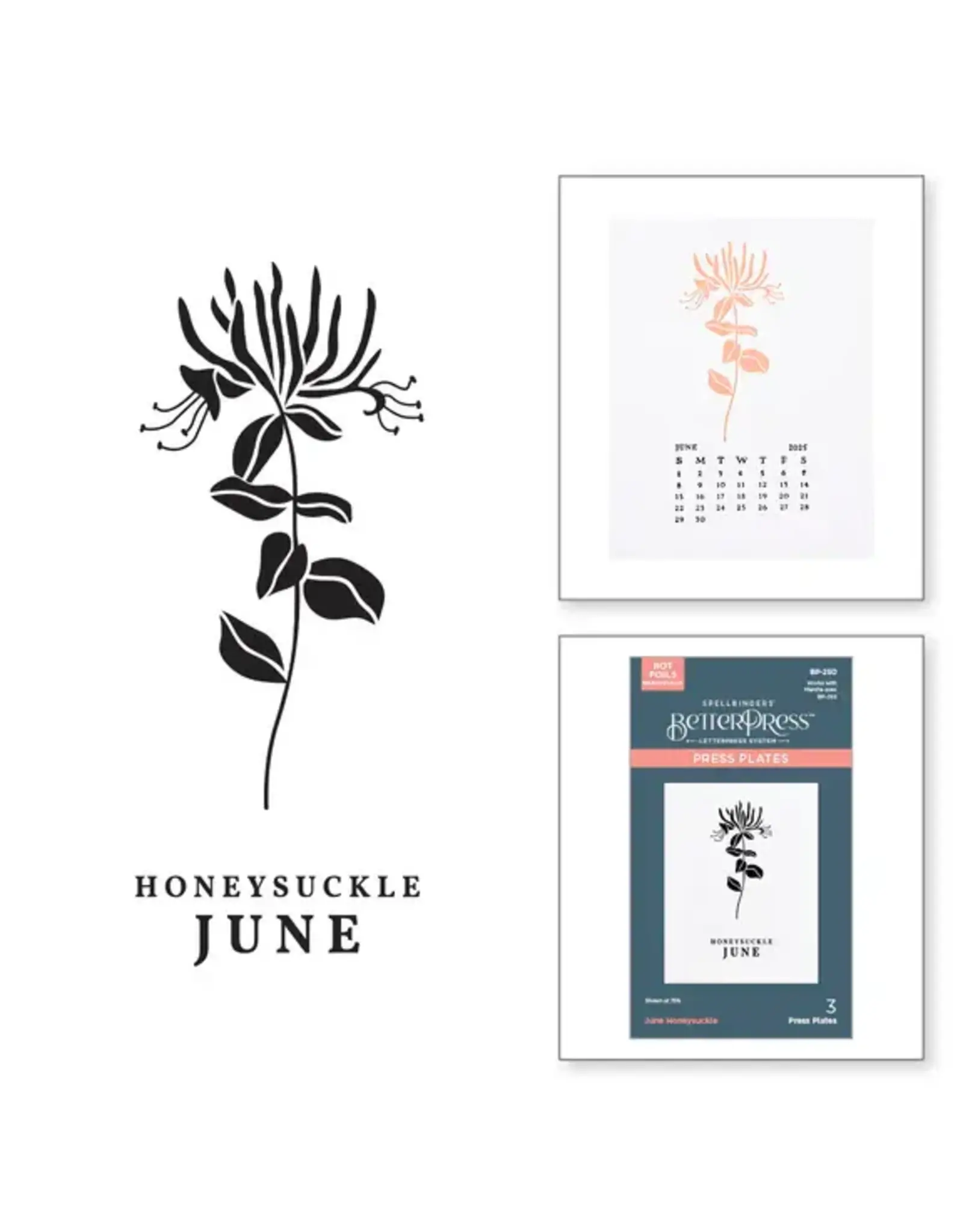 SPELLBINDERS SPELLBINDERS BETTERPRESS FLORALS THROUGH THE YEAR COLLECTION JUNE HONEYSUCKLE PRESS PLATES