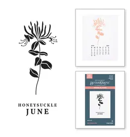 SPELLBINDERS SPELLBINDERS BETTERPRESS FLORALS THROUGH THE YEAR COLLECTION JUNE HONEYSUCKLE PRESS PLATES