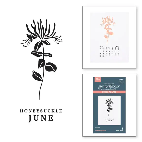 SPELLBINDERS SPELLBINDERS BETTERPRESS FLORALS THROUGH THE YEAR COLLECTION JUNE HONEYSUCKLE PRESS PLATES