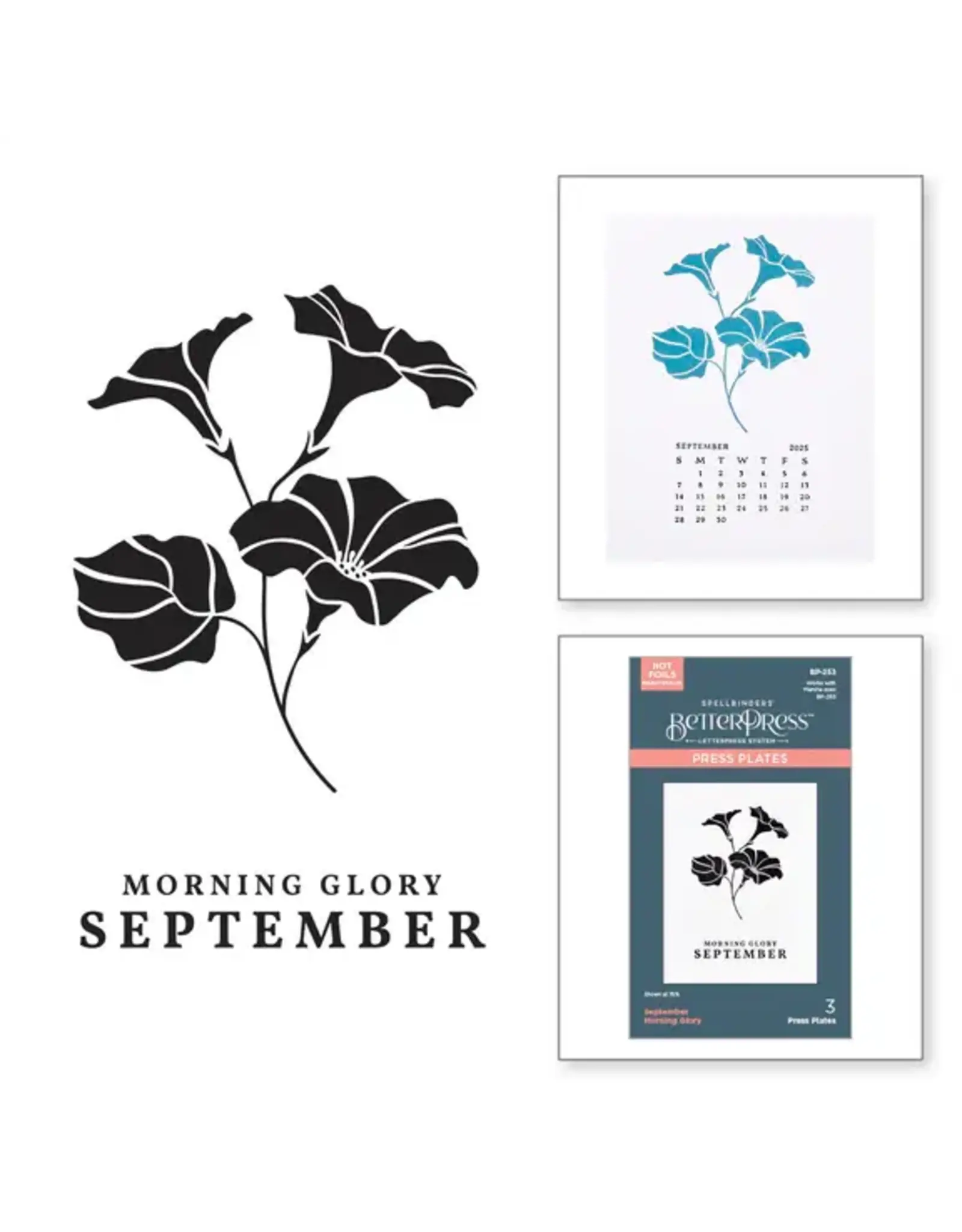 SPELLBINDERS SPELLBINDERS BETTERPRESS FLORALS THROUGH THE YEAR COLLECTION SEPTEMBER MORNING GLORY PRESS PLATES