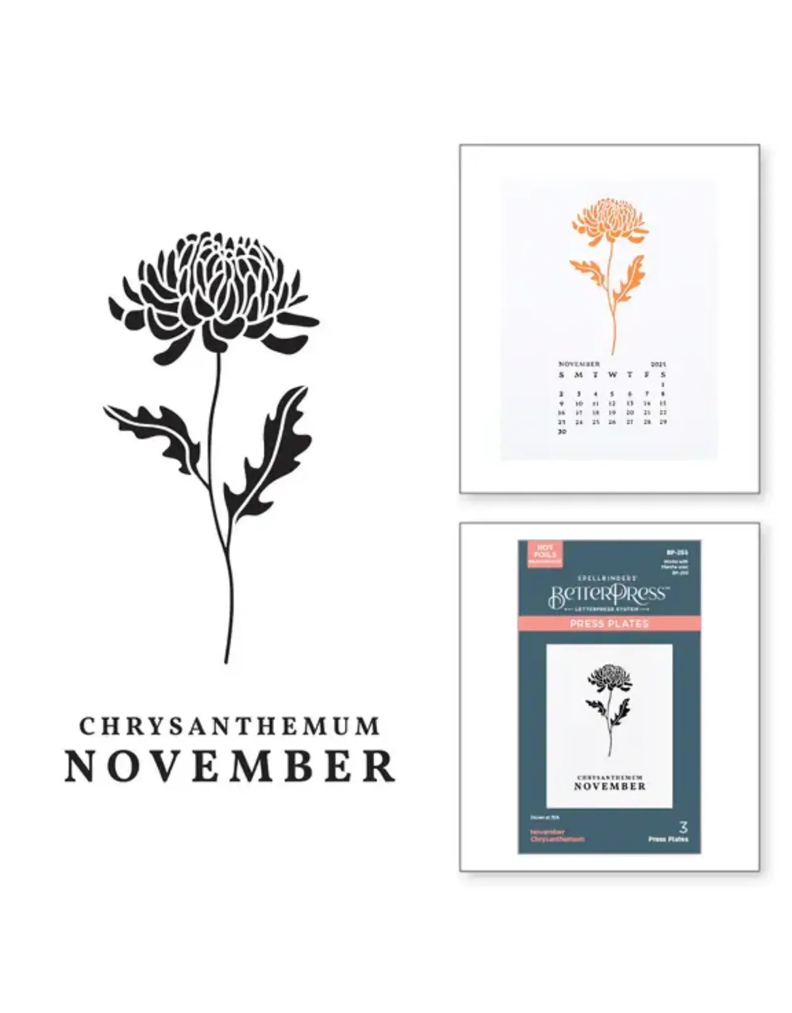 SPELLBINDERS SPELLBINDERS BETTERPRESS FLORALS THROUGH THE YEAR COLLECTION NOVEMBER CHRYSANTHEMUM PRESS PLATES