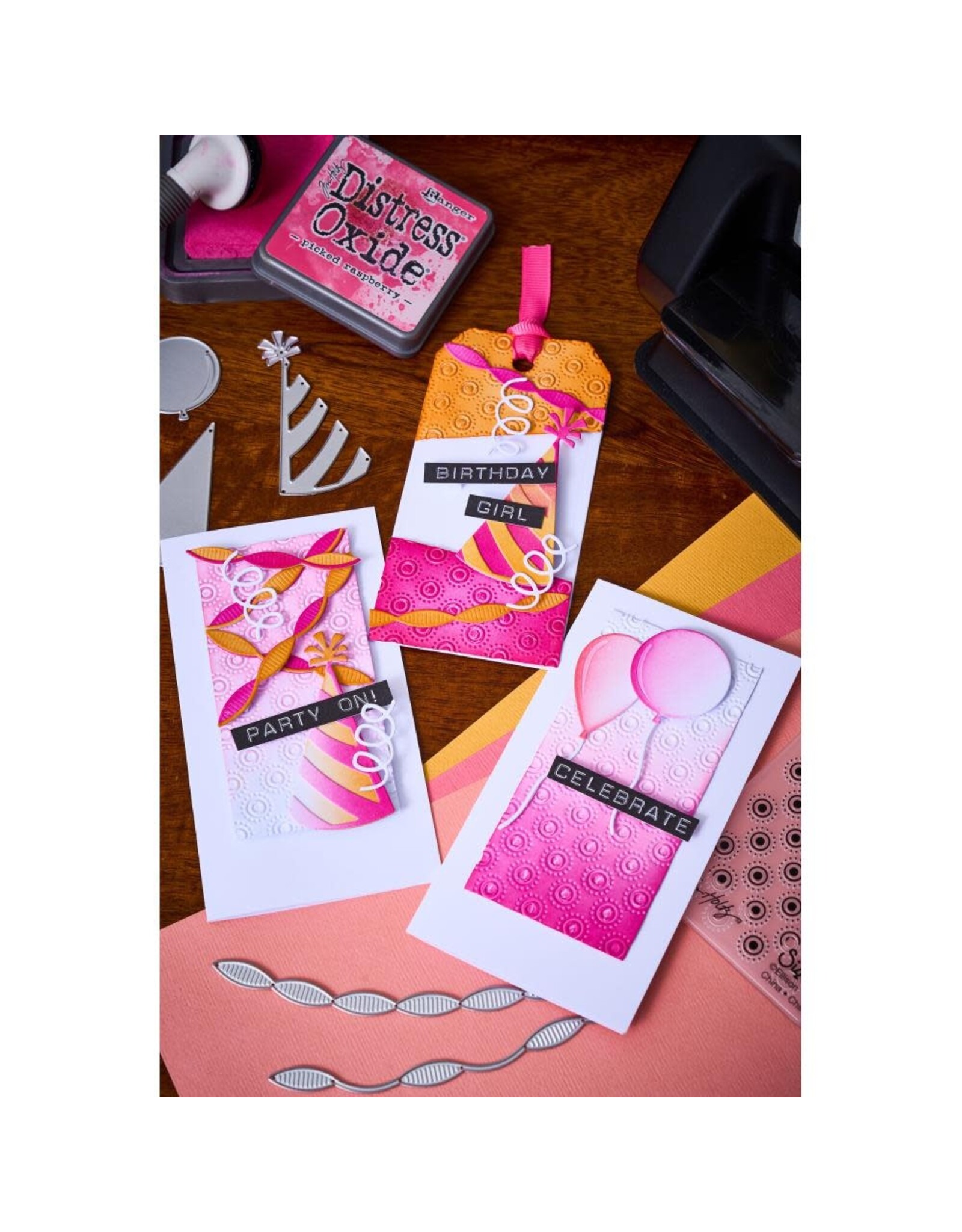 SIZZIX SIZZIX TIM HOLTZ SIDEKICK SIDE-ORDER THINLITS/ TEXTURE FADES CELEBRATE EMBOSSING FOLDER & DIE SET