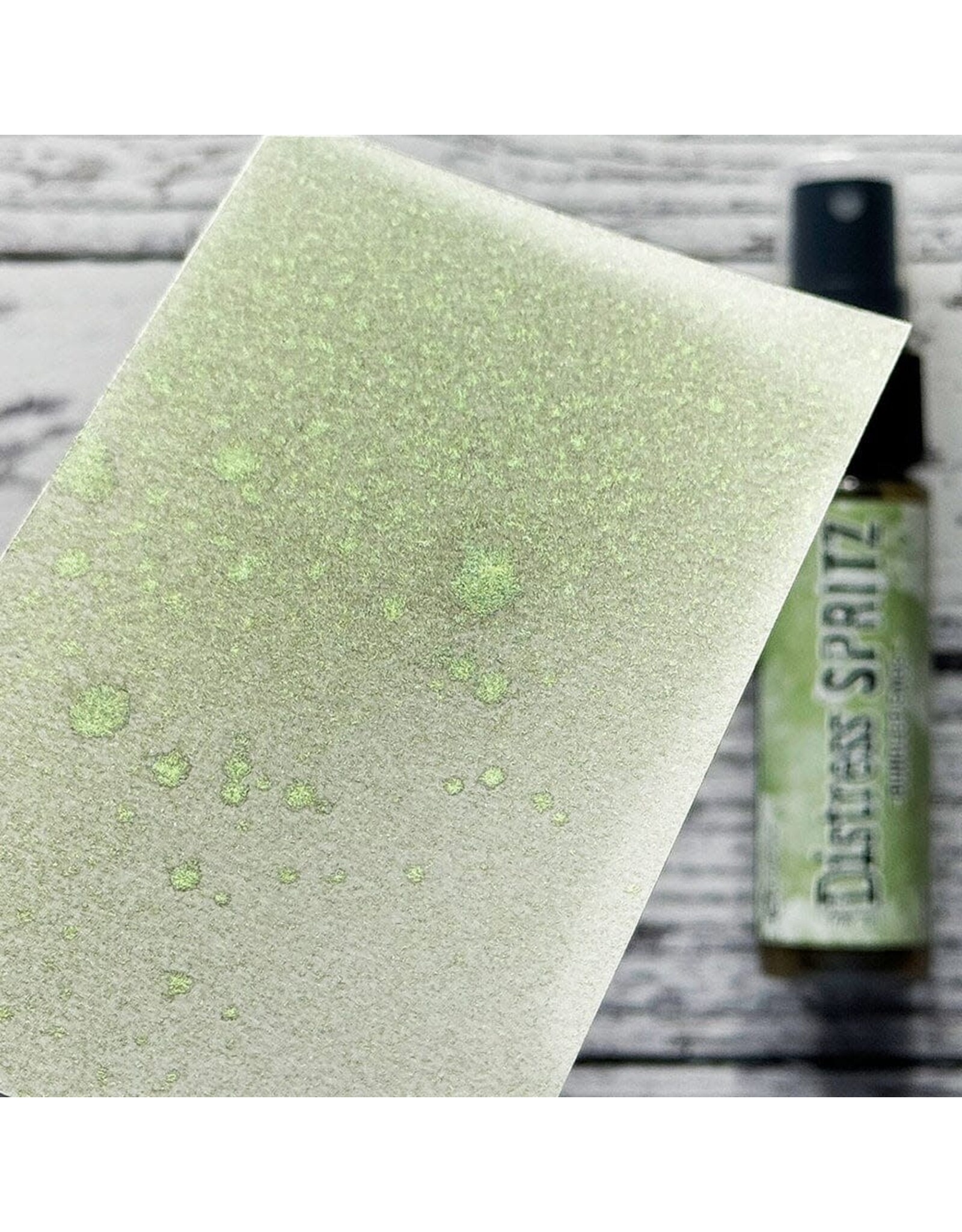 RANGER TIM HOLTZ DISTRESS SPRITZ BUNDLED SAGE 1OZ