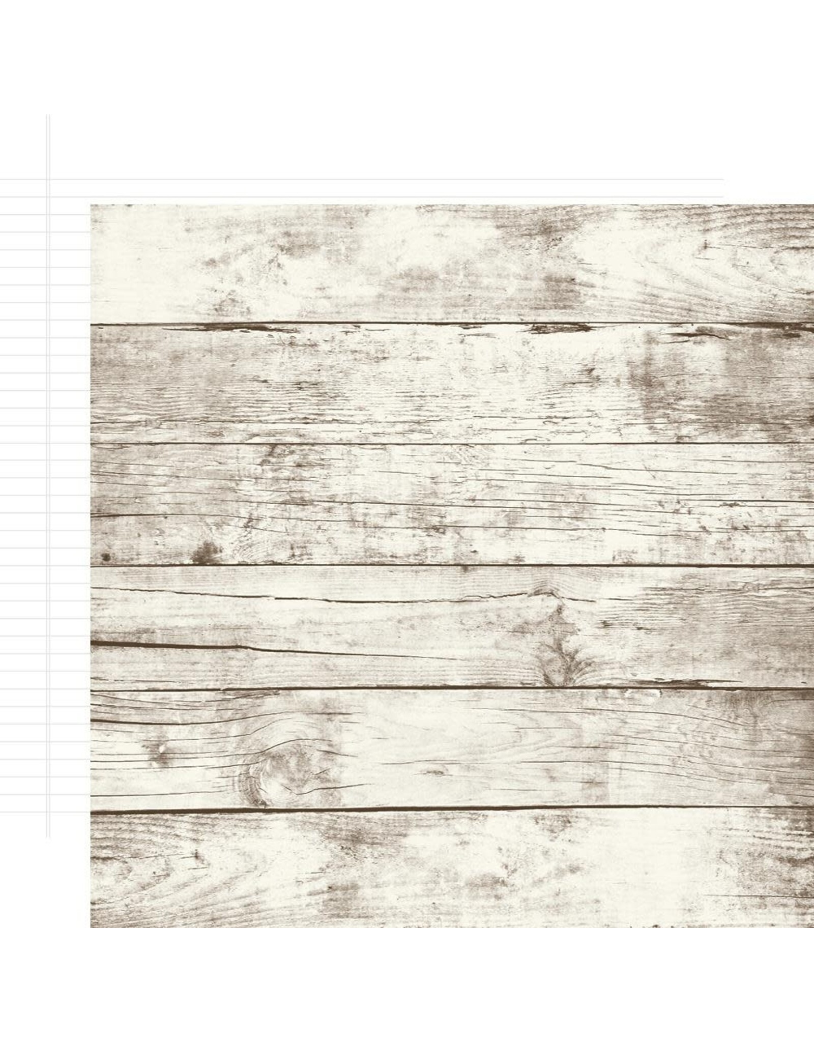 SIMPLE STORIES SIMPLE STORIES COLOR VIBE ASPEN/WHITE NOTEBOOK 12x12 CARDSTOCK