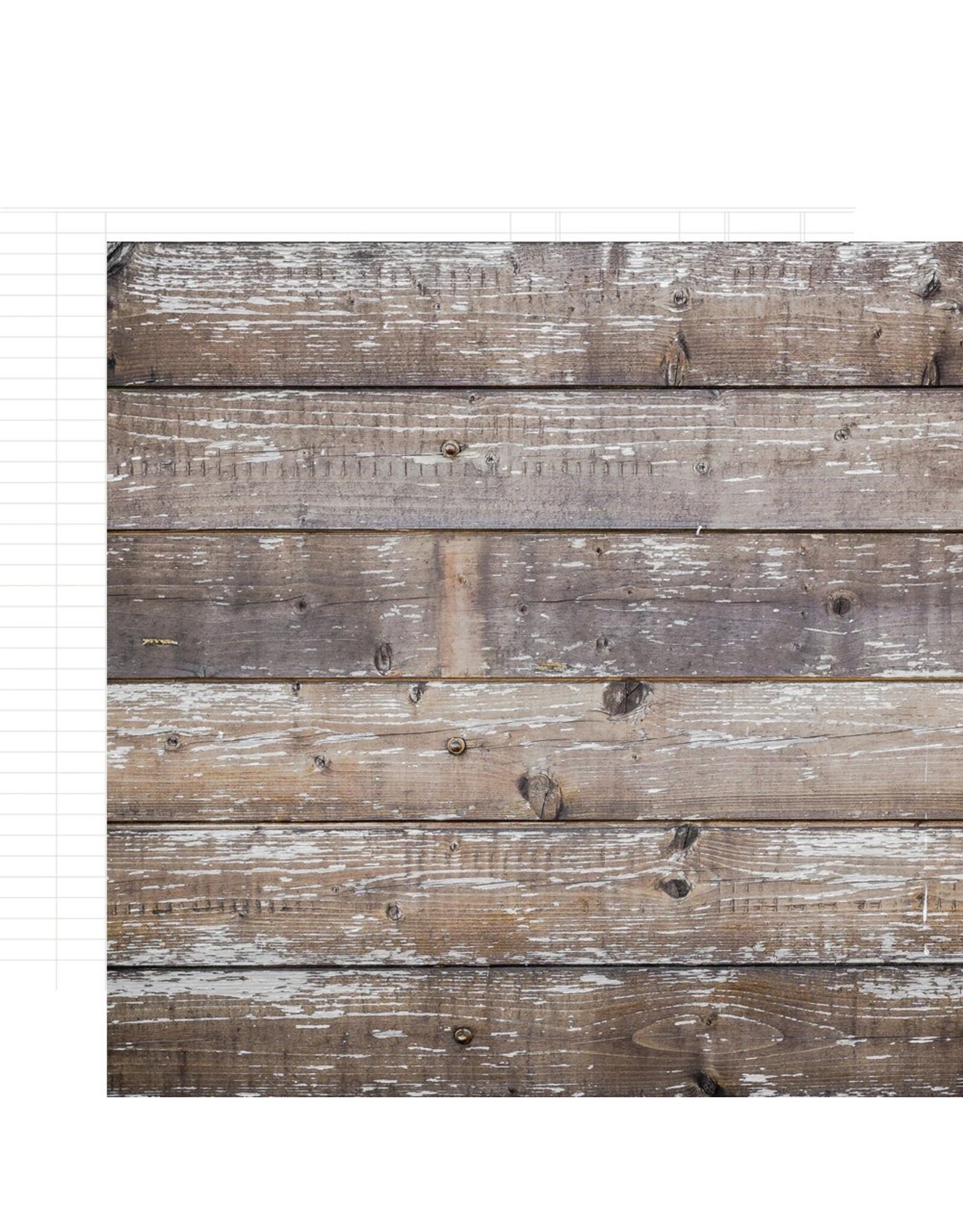 SIMPLE STORIES SIMPLE STORIES COLOR VIBE CEDAR/WHITE LEDGER 12x12 CARDSTOCK