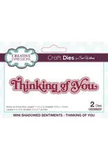 CREATIVE EXPRESSIONS CREATIVE EXPRESSIONS SUE WILSON MINI SHADOWED SENTIMENTS - THINKING OF YOU DIE SET