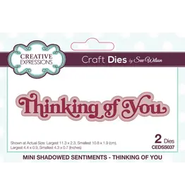 CREATIVE EXPRESSIONS CREATIVE EXPRESSIONS SUE WILSON MINI SHADOWED SENTIMENTS - THINKING OF YOU DIE SET