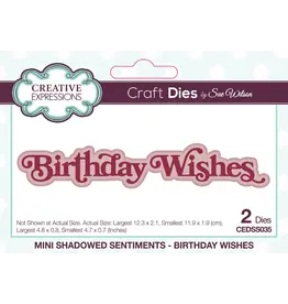 CREATIVE EXPRESSIONS CREATIVE EXPRESSIONS SUE WILSON MINI SHADOWED SENTIMENTS - BIRTHDAY WISHES DIE SET