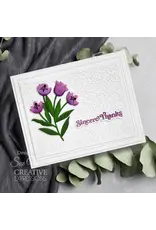CREATIVE EXPRESSIONS CREATIVE EXPRESSIONS SUE WILSON MINI SHADOWED SENTIMENTS - SINCERE THANKS DIE SET