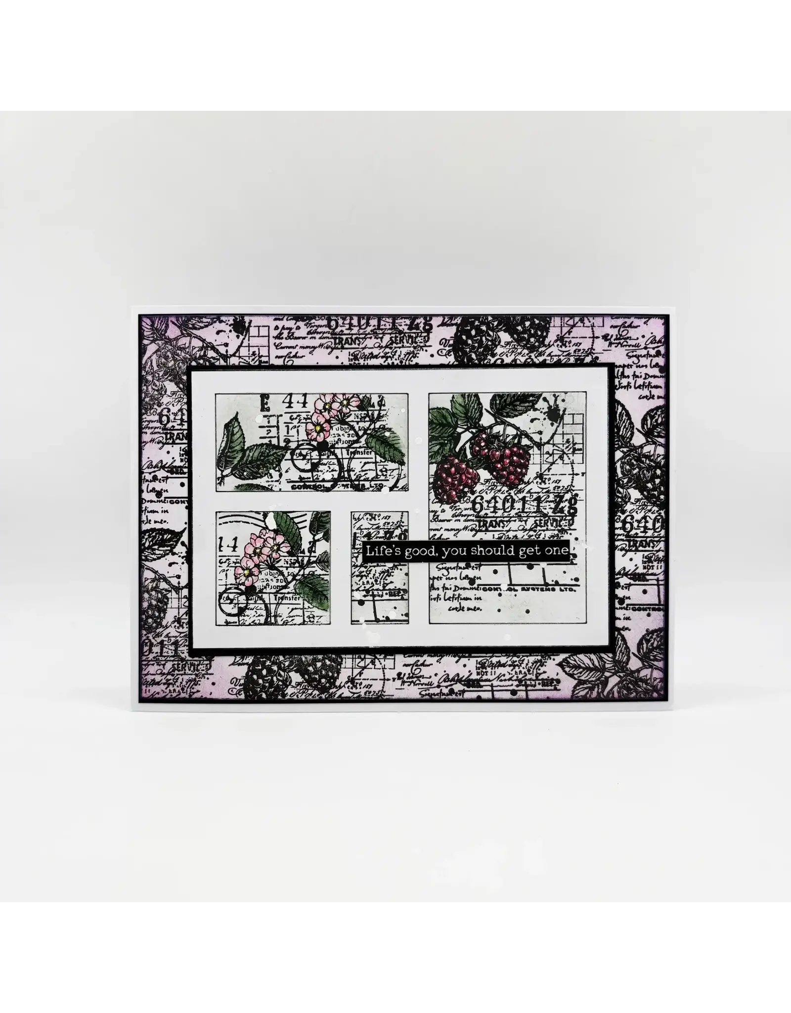 AALL & CREATE AALL & CREATE AUTOUR DE MWA  #1248 BERRY BLISS A6 CLEAR STAMP SET