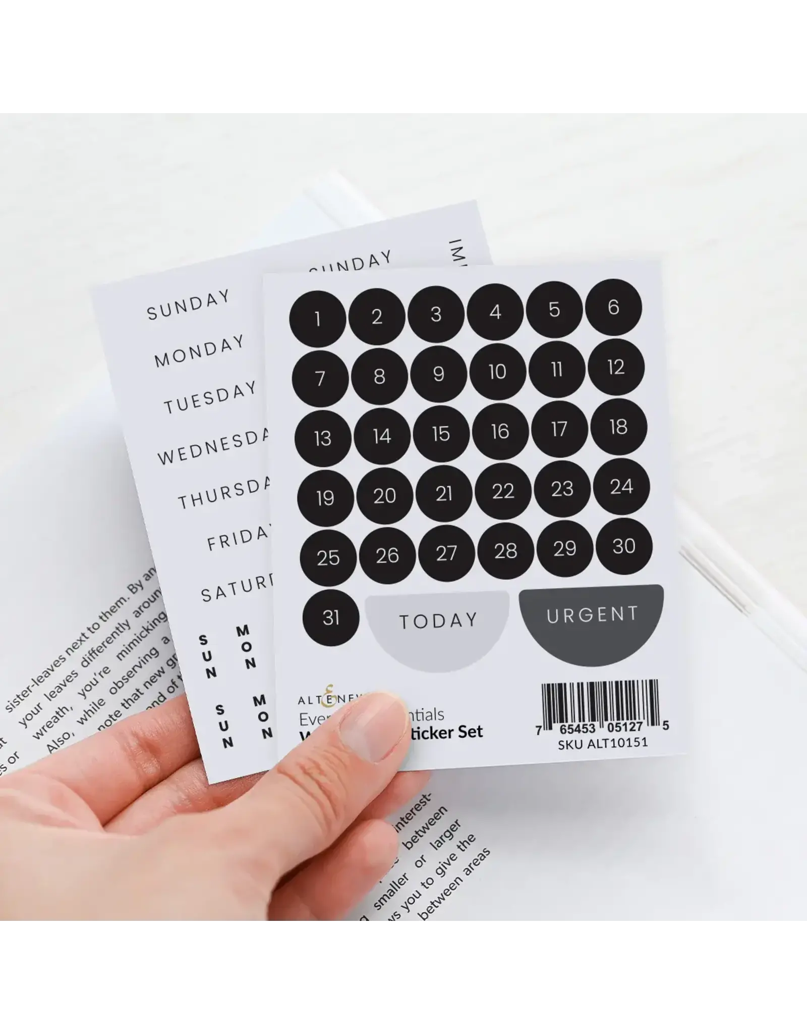 ALTENEW ALTENEW EVERYDAY ESSENTIALS WASHI PAPER STICKER SET