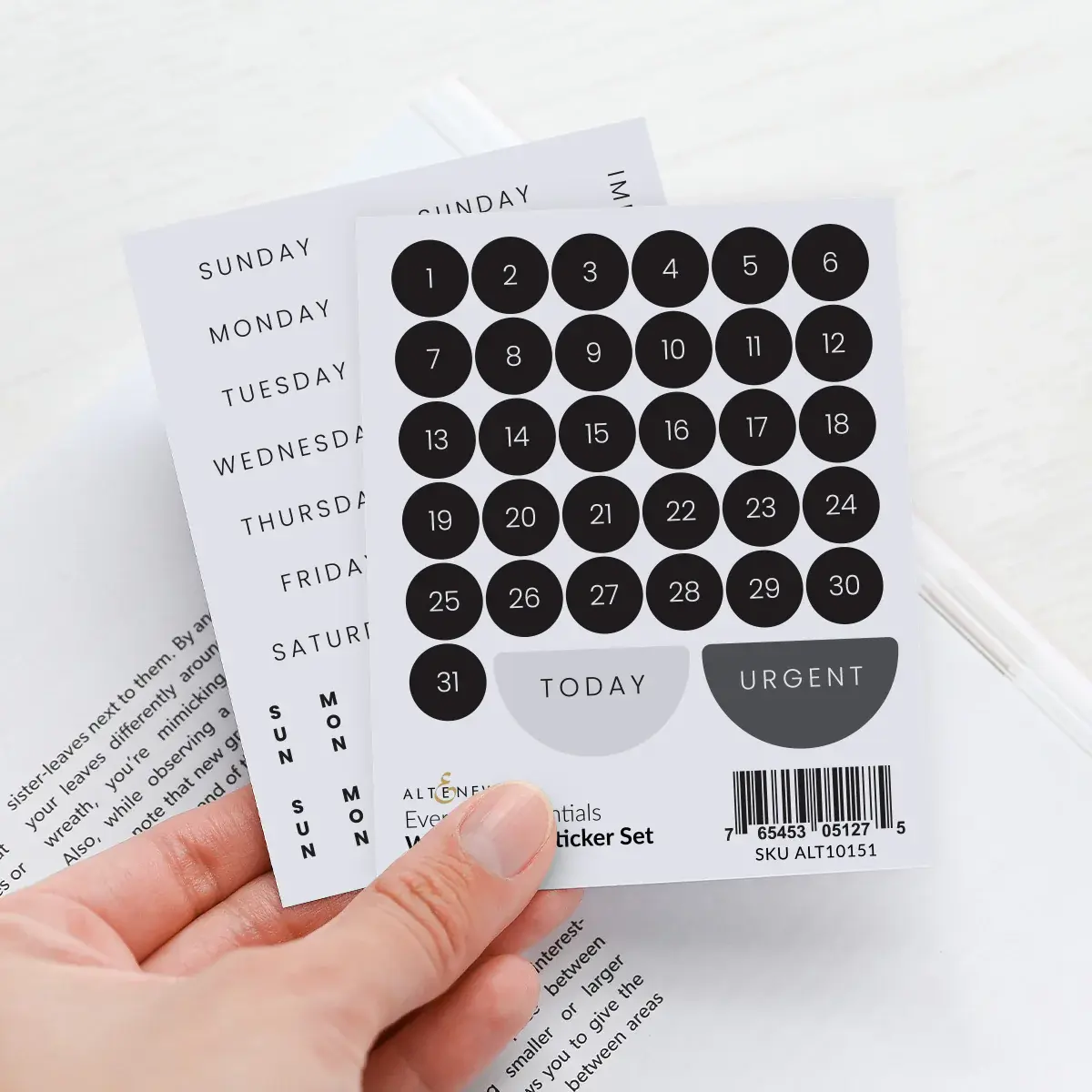 ALTENEW ALTENEW EVERYDAY ESSENTIALS WASHI PAPER STICKER SET