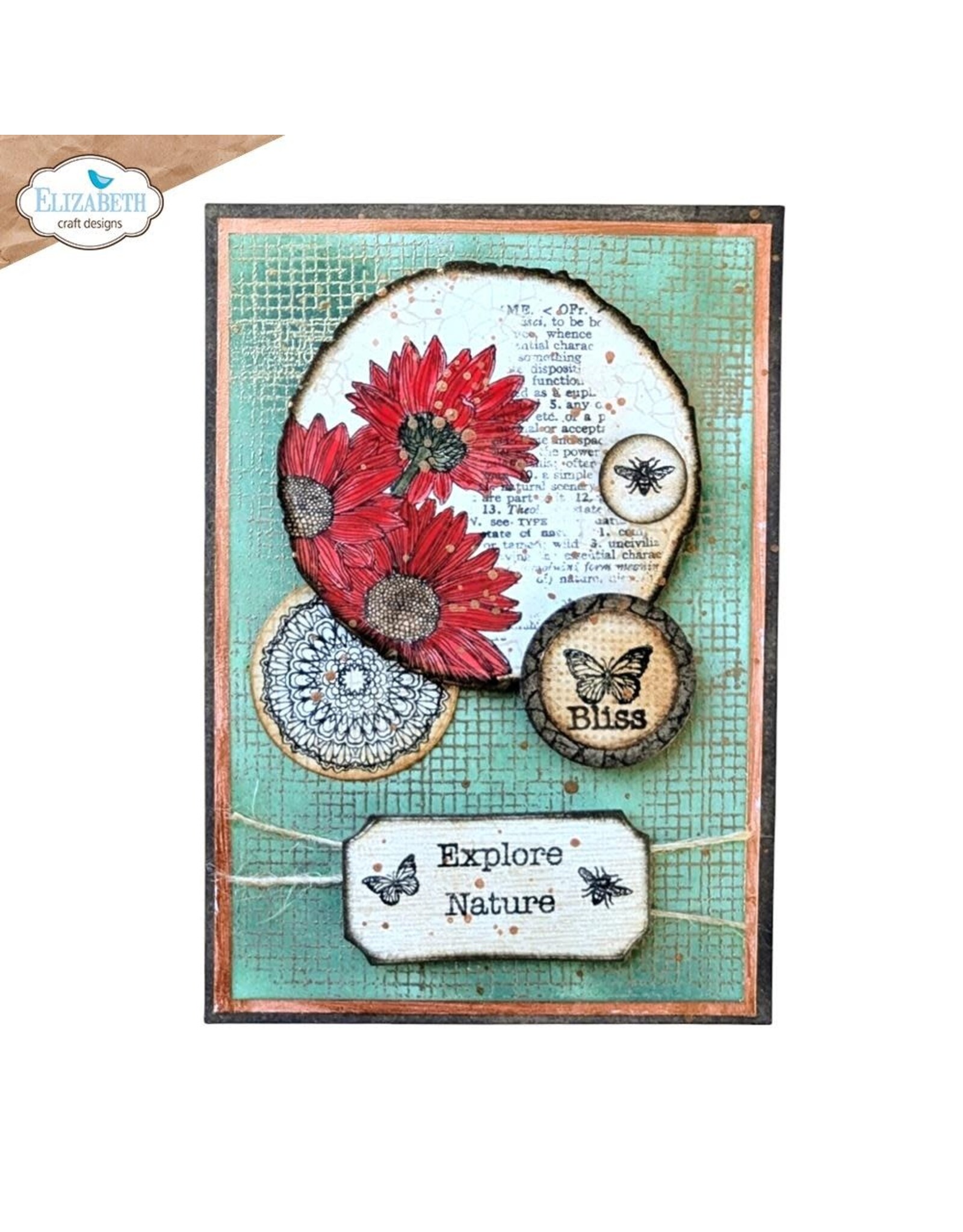ELIZABETH CRAFT DESIGNS ELIZABETH CRAFT DESIGNS PLAYFUL TEXTURES CLEAR STAMP SET