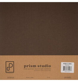 PRISM STUDIO PRISM STUDIO WHOLE SPECTRUM 12x12 HEAVYWEIGHT CARDSTOCK - BULRUSH