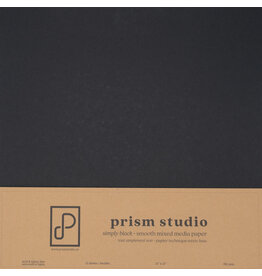 PRISM STUDIO PRISM STUDIO WHOLE SPECTRUM 12x12 MIXED MEDIA CARDSTOCK - SIMPLY BLACK 12/PK